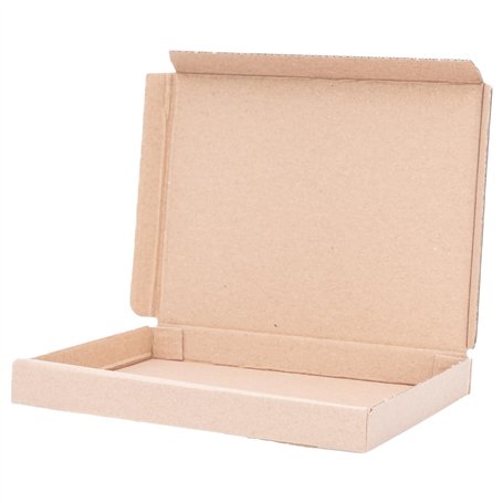 100 boîtes carton extra-plates 16