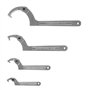CCLIFE 4 pièces Clé à ergot articulée pour écrous à encoches latérales CR-V 19-170mm Clé à Crochet réglable en C