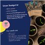 Graines pour fleurs -12 variétés de fleurs multicolores résistantes aux graines pour le jardin, le potager surélevé & le balcon 
