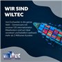 Wiltec Vis sans fin de remplacement – Ø 250 mm, longueur 760 mm – en Fonte – pour Perceuse de sol, Tarière thermique creuse – Fo