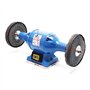 WilTec Machine à polir 750W avec Deux disques de Polissage Ø200mm Polisseuse Double Boîtier Robuste Base