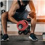 LUXTRI Kit d’haltères Courts & Longs 20kg Set 2en1 avec 12 Plaques de poids Barres Extension Fitness