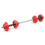 LUXTRI Kit d’haltères Courts & Longs 20kg Set 2en1 avec 12 Plaques de poids Barres Extension Fitness