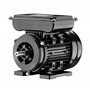 Wiltec Moteur électrique asynchrone monophasé à induction – 0