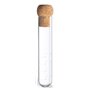 Lot de 4 infuseurs à thé pour thé en vrac en verre microperforé avec bouchon en liège