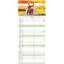 Agenda 2024 pour vous et moi - Minuterie familiale 19,5 x 45 cm - 5 colonnes - Planificateur mural - Beaucoup d'espace pour les 