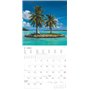 Alpha Edition Calendrier à brochures Summer Dreams 2025, 30 x 30 cm, calendrier mural avec espace pour notes et rendez-vous, ima