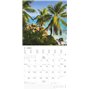 Alpha Edition Calendrier à brochures Summer Dreams 2025, 30 x 30 cm, calendrier mural avec espace pour notes et rendez-vous, ima