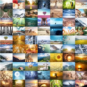 the lazy panda card company Lot de 80 cartes postales - Nature