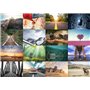the lazy panda card company Lot de 80 cartes postales - Nature, animaux et joie du paysage - Grand mélange de cartes postales - 