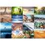the lazy panda card company Lot de 80 cartes postales - Nature, animaux et joie du paysage - Grand mélange de cartes postales - 