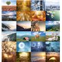 the lazy panda card company Lot de 80 cartes postales - Nature, animaux et joie du paysage - Grand mélange de cartes postales - 