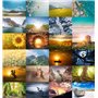 the lazy panda card company Lot de 80 cartes postales - Nature, animaux et joie du paysage - Grand mélange de cartes postales - 