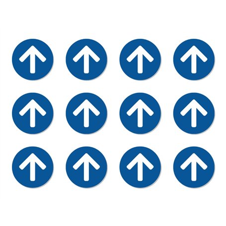 Lot de 12 flèches gauche
