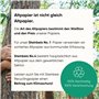 Steinbeis No.3 Papier pour imprimante – 2500 (5 x 500) feuilles de papier recyclé A4 80 g/m² blanc et sans chlore de qualité sup