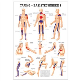 ruediger Anatomie mipo73 Taping Base techniques I Tableau