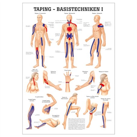 ruediger Anatomie mipo73 Taping Base techniques I Tableau