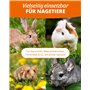 petifool Wilde Blumenwiese - Complément Alimentaire - Aliment Naturel et sain pour Lapins - 600 g