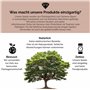 LOGOPLAY Blocage de voyage dans une boîte en bois - 18 cm x 18 cm - Jeu de dés - Jeu de stratégie - Jeu de société - Jeu de soci