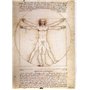 VON LILIENFELD Étui Lunettes Léonard de Vinci : L'homme de Vitruve Chiffon de Nettoyage Boîte Robuste Cadeau Étui Lunettes de So