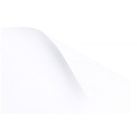 Papier de soie blanc brillant 25 g/m² - 50 x 75 cm - Environ 250 feuilles (2