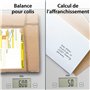 ADE Bridget Pèse-lettres numérique pour colis, Balances postales électroniques, Balances de cuisine avec surface de pesée XXL et