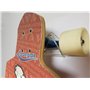 Pennyboard