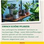 Seramis engrais Bio Vital pour plantes et herbes aromatiques, 200 ml – Fertilisant biologique, engrais liquide avec dispositif d