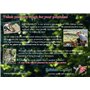 Edition Colibri Lot de 100 cartes postales vierges à personnaliser et à imprimer - Papier blanc de 250 g - Convient pour les imp