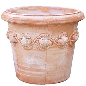 Conca Limoni Pot de Fleurs