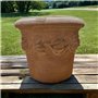 Conca Limoni Pot de Fleurs, en Terre Cuite, résistant au Gel, 30 cm