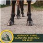 Emma Graisse pour Sabots Chevaux 500ml - Baume pour Sabots Chevaux I Baume pour Sabots Chevaux I Teinture à l'huile de Noix I Cu