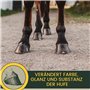 Graisse pour sabots chevaux 1000ml - Baume pour sabots chevaux I Baume pour sabots chevaux I Teinture à l'huile de noix I Cure p