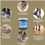 Graisse pour sabots chevaux 1000ml - Baume pour sabots chevaux I Baume pour sabots chevaux I Teinture à l'huile de noix I Cure p