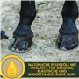 Emma Set Cheval Huile pour Sabots avec Brosse + baume pour Sabots I Soins des Sabots I Graisse pour Sabots Poney I Gel pour Sabo