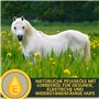 Friandises Chevaux Banane + Graisse à Sabots Hydratante 500 ML 400ml – Soin Sabots Secs et Fissurés – Baume Nourrissant pour Che