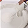 Mont Marte Vernis – 240ml – Brillant Irisé – Vernis pour peinture Acrylique – Vernis Acrylique à l'effet chatoyant impressionnan