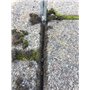 Racloir à joint Gigant avec manche réversible vollh Art Métal Planche à manche télescopique extensible Das Original en le télé-a