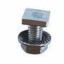 GAO Flora 50 Vis Carrées Inox M6x12 pour Vis à Effet de Serre