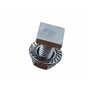 GAO Flora 50 Vis Carrées Inox M6x12 pour Vis à Effet de Serre, Tête Plate 10x10x2.5 mm, Construction ou Projets de Bricolage