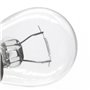 LIGHTWORLD24 10 x P21W 12V 21W boule lampe BA15s feu stop feu antibrouillard arrière feu de recul feux diurnes ampoule voiture a