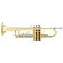 Incluant Coffret et Embouchure