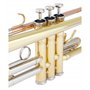 Classic Cantabile Trompette Bb Professionnelle Dorée, Incluant Coffret et Embouchure