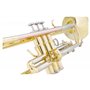 Classic Cantabile Trompette Bb Professionnelle Dorée, Incluant Coffret et Embouchure