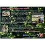 Edition Colibri Lot de 10 Cartes d‘invitation ANIMAUX DE ZOO en Français pour un anniversaire d‘enfant ou pour une partie au zoo
