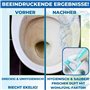 PandaCleaner Détartrant urinaire extra puissant – 1 l – Nettoyant pour toilettes extrêmement puissant – Nettoyant anti-calcaire 