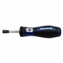 BikeBroz 81664 Clé dynamométrique pour réparation de vélo et autres 1/4" Tournevis dynamométrique avec porte-embout et raccord d