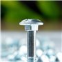 Lot de 20 vis de carrosserie avec collet carré M8 x 50 - Inoxydable - Vis à tête bombée - Vis à tête bombée - Vis à tête bombée 