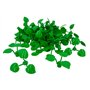 vert clair