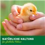 HÜHNER Land I festin de vers de Farine, charcuterie vers de Farine séchés 5 litres pour volailles d'ornement, Reptiles - Aliment
